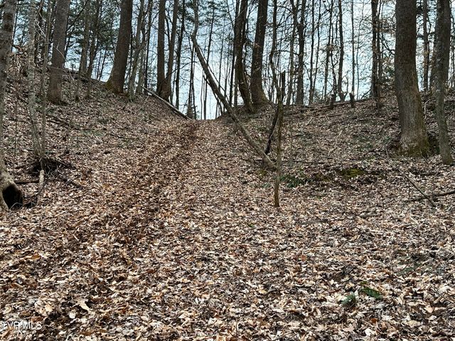 702 Speedwell Road, Bulls Gap, TN 37711