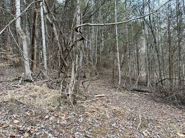 702 Speedwell Road, Bulls Gap, TN 37711