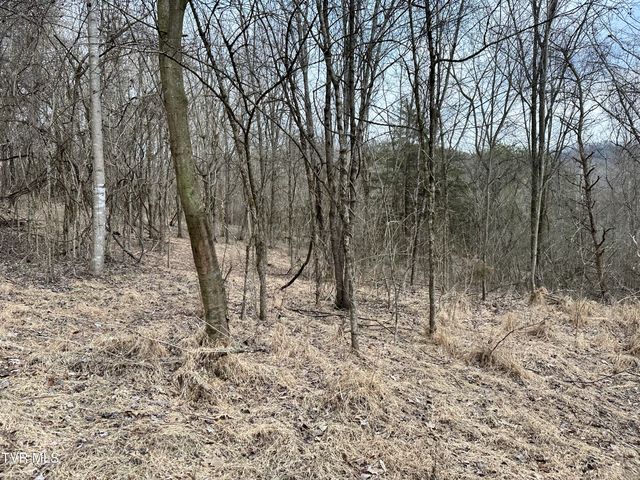 702 Speedwell Road, Bulls Gap, TN 37711