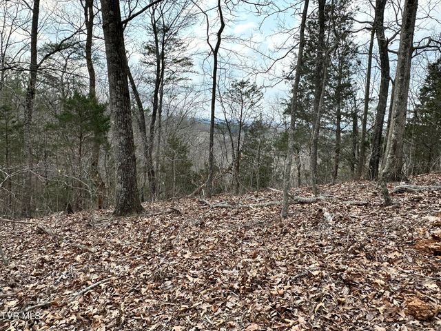 702 Speedwell Road, Bulls Gap, TN 37711