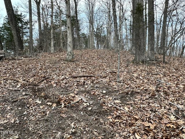 702 Speedwell Road, Bulls Gap, TN 37711