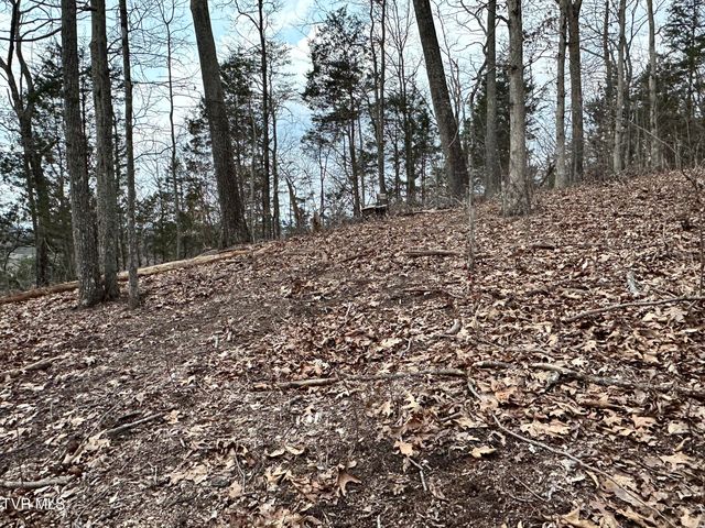 702 Speedwell Road, Bulls Gap, TN 37711