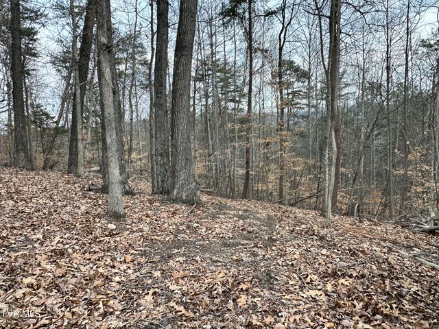 702 Speedwell Road, Bulls Gap, TN 37711