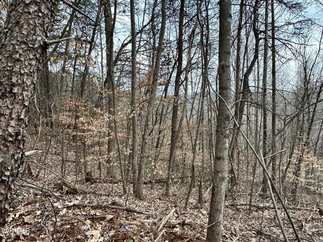 702 Speedwell Road, Bulls Gap, TN 37711