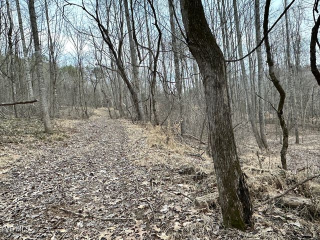 702 Speedwell Road, Bulls Gap, TN 37711