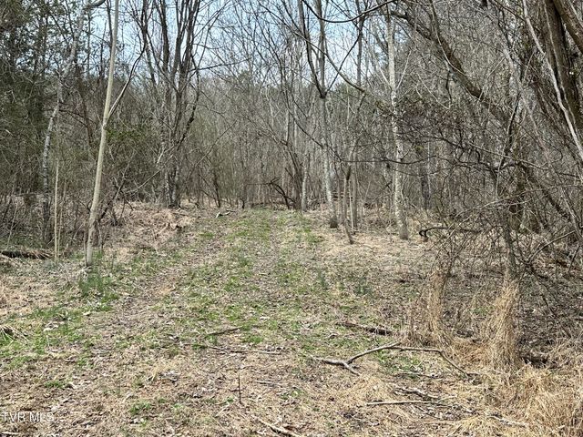 702 Speedwell Road, Bulls Gap, TN 37711