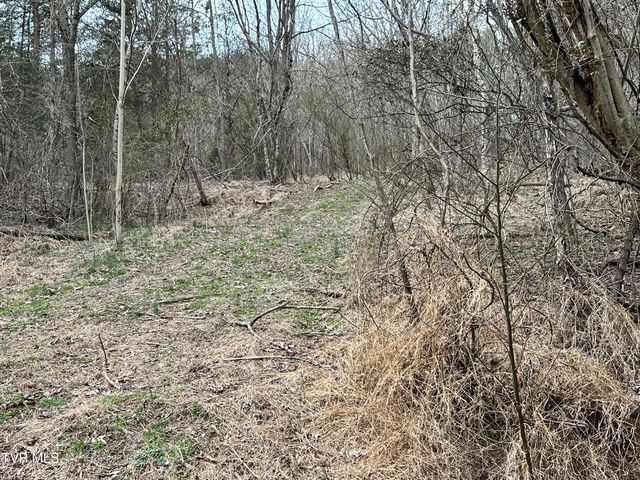 702 Speedwell Road, Bulls Gap, TN 37711