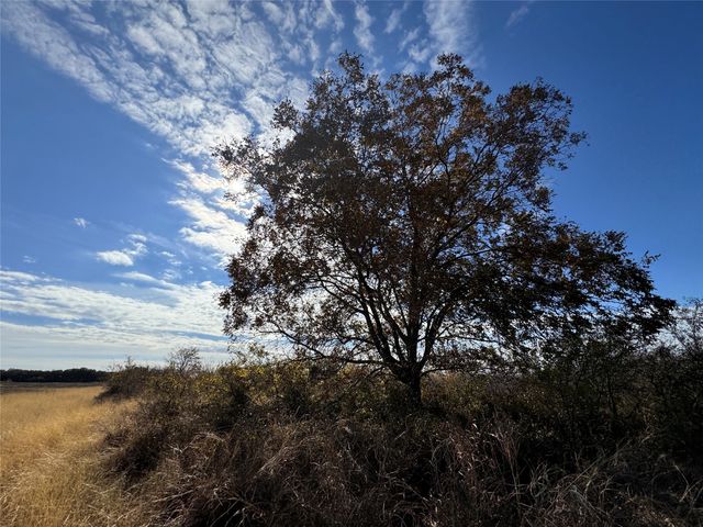 1689 fm, May, TX 76857