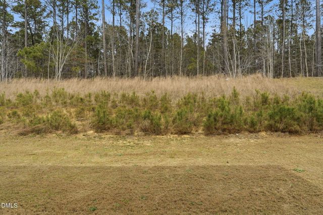 224 Ivy Banks Drive, Angier, NC 27501