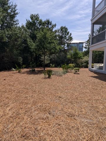 109 E Crabbing Hole Lane, Inlet Beach, FL 32461