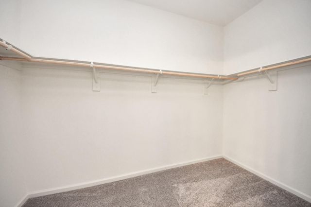 10304 Malta Trace Drive, Rosharon, TX 77583