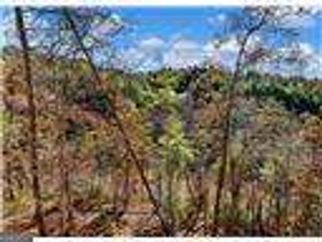 150 Alte Bruecke Strasse, Helen, GA 30545