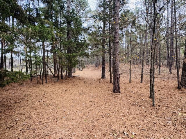 42 CR 35720, Powderly, TX 75473