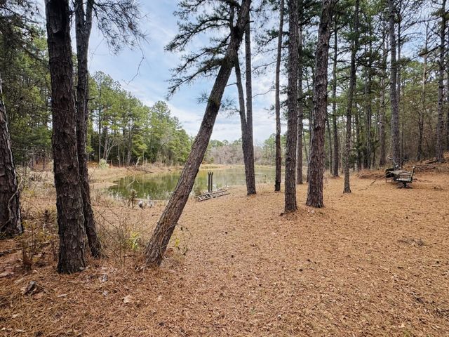 42 CR 35720, Powderly, TX 75473