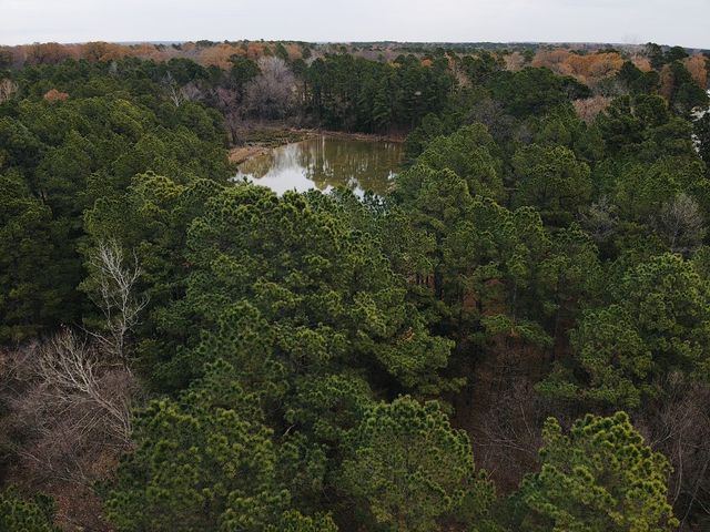 42 CR 35720, Powderly, TX 75473