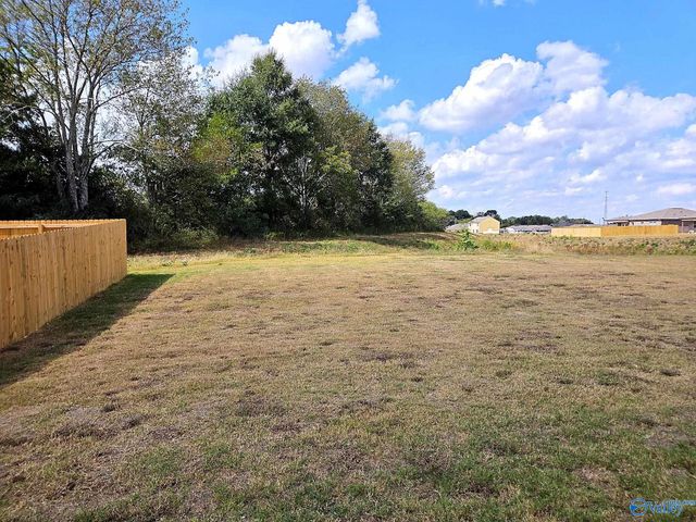 17885 Daniel Island Drive, Athens, AL 35611