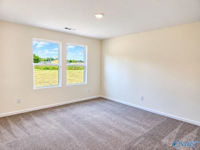 17885 Daniel Island Drive, Athens, AL 35611