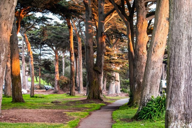 663 28th Avenue, San Francisco, CA 94121