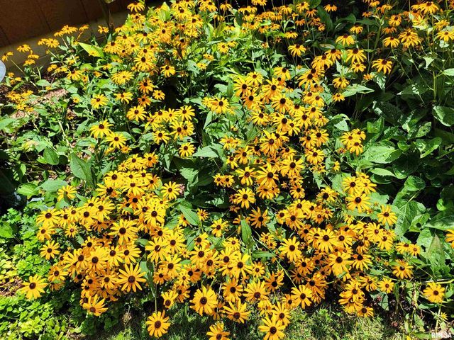 2753 N Stanford Road, Flora, IL 62839