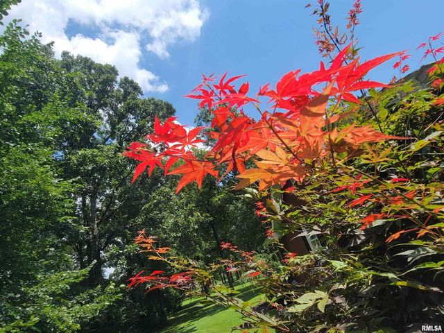 2753 N Stanford Road, Flora, IL 62839