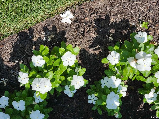 2753 N Stanford Road, Flora, IL 62839