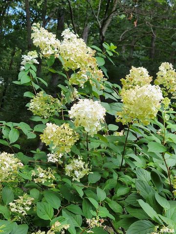 2753 N Stanford Road, Flora, IL 62839