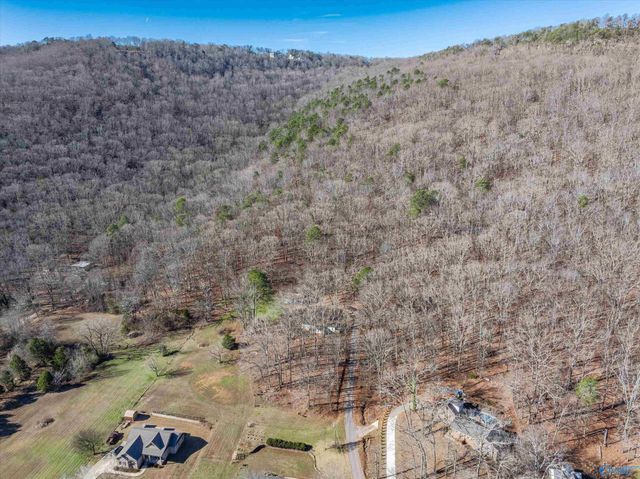 226 Walter Bird Drive, Owens Cross Roads, AL 35763