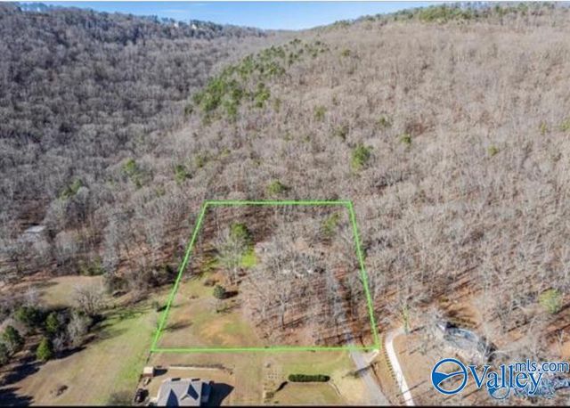 226 Walter Bird Drive, Owens Cross Roads, AL 35763
