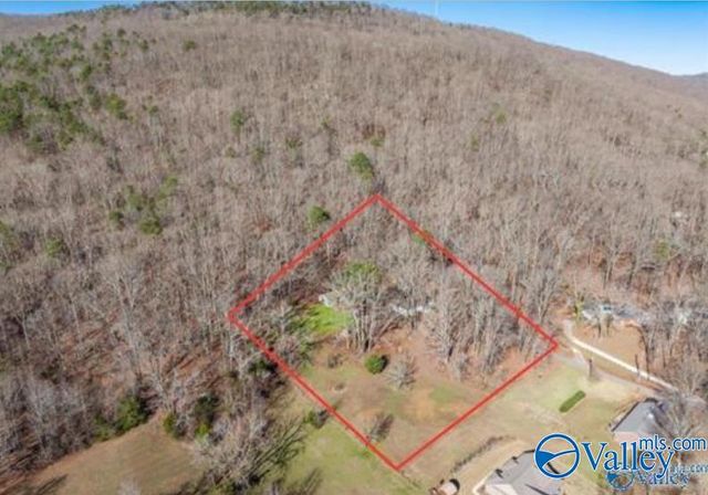 226 Walter Bird Drive, Owens Cross Roads, AL 35763