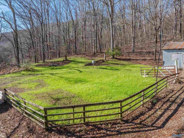 226 Walter Bird Drive, Owens Cross Roads, AL 35763