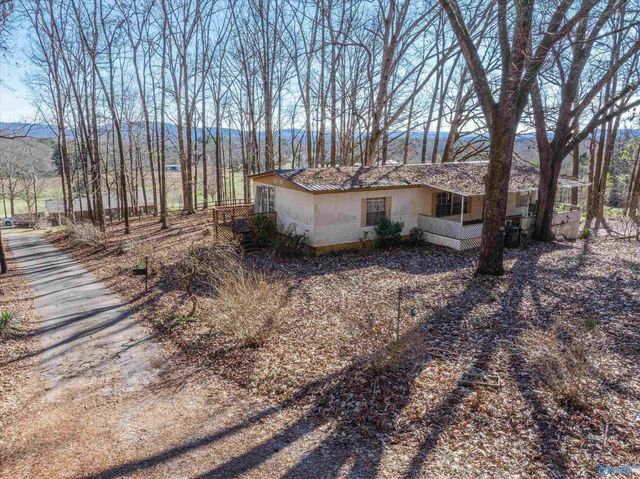 226 Walter Bird Drive, Owens Cross Roads, AL 35763