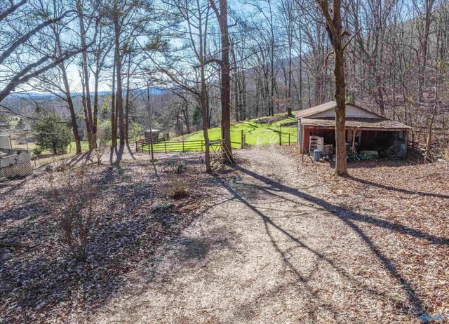 226 Walter Bird Drive, Owens Cross Roads, AL 35763