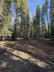 611 Silver Creek Road, Idaho Springs, CO 80452