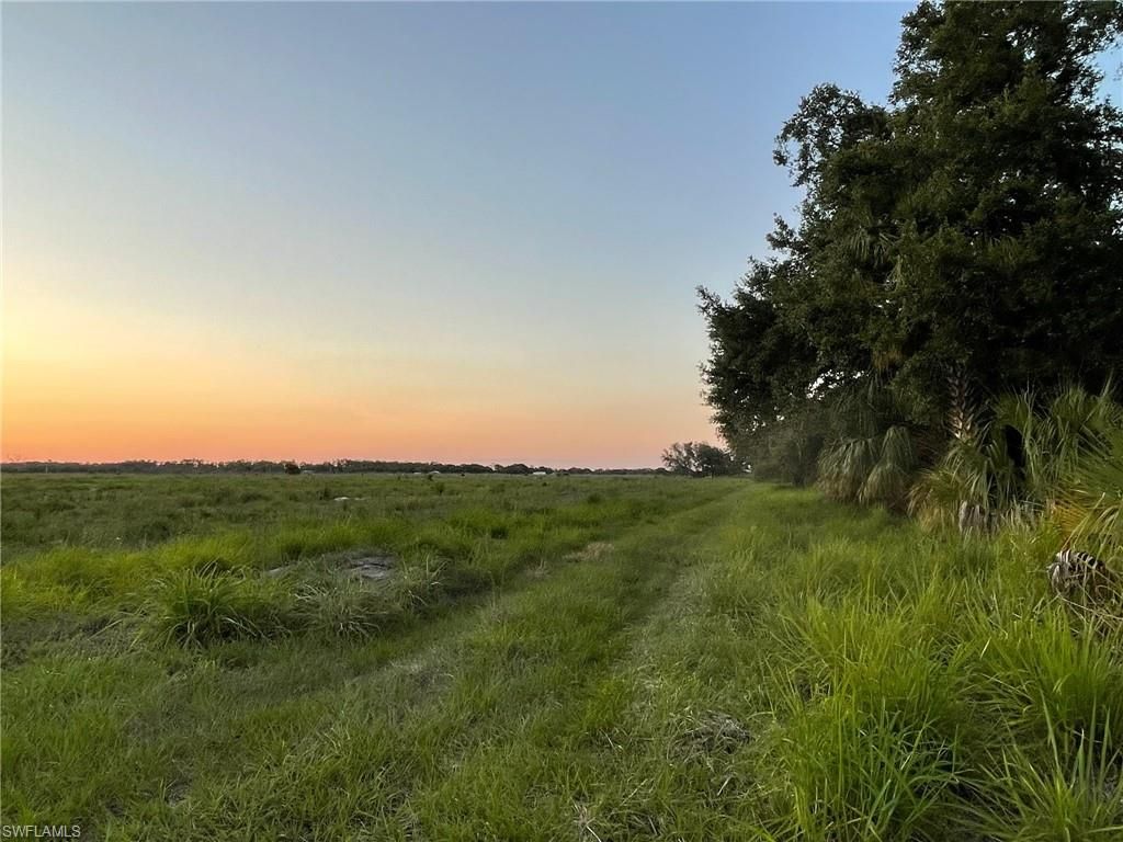 501 Norris RD, LABELLE, FL 33935 — photo 4