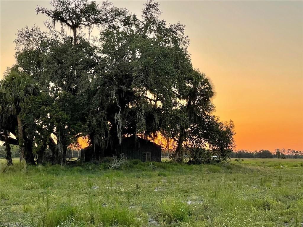 501 Norris RD, LABELLE, FL 33935 — photo 5