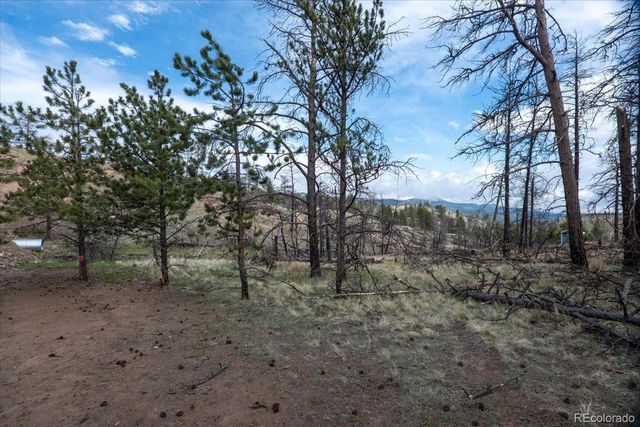 144 Chapparal Trail, Florissant, CO 80816