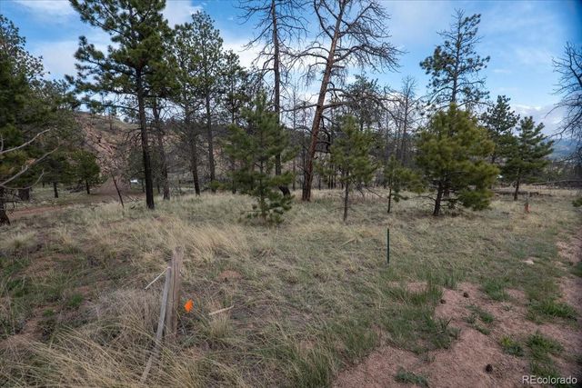 144 Chapparal Trail, Florissant, CO 80816