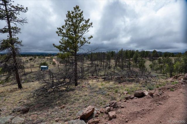 144 Chapparal Trail, Florissant, CO 80816