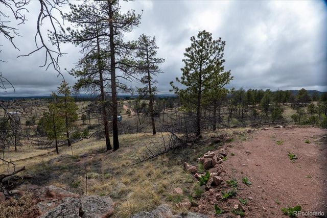 144 Chapparal Trail, Florissant, CO 80816