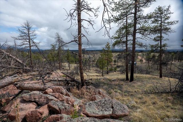 144 Chapparal Trail, Florissant, CO 80816