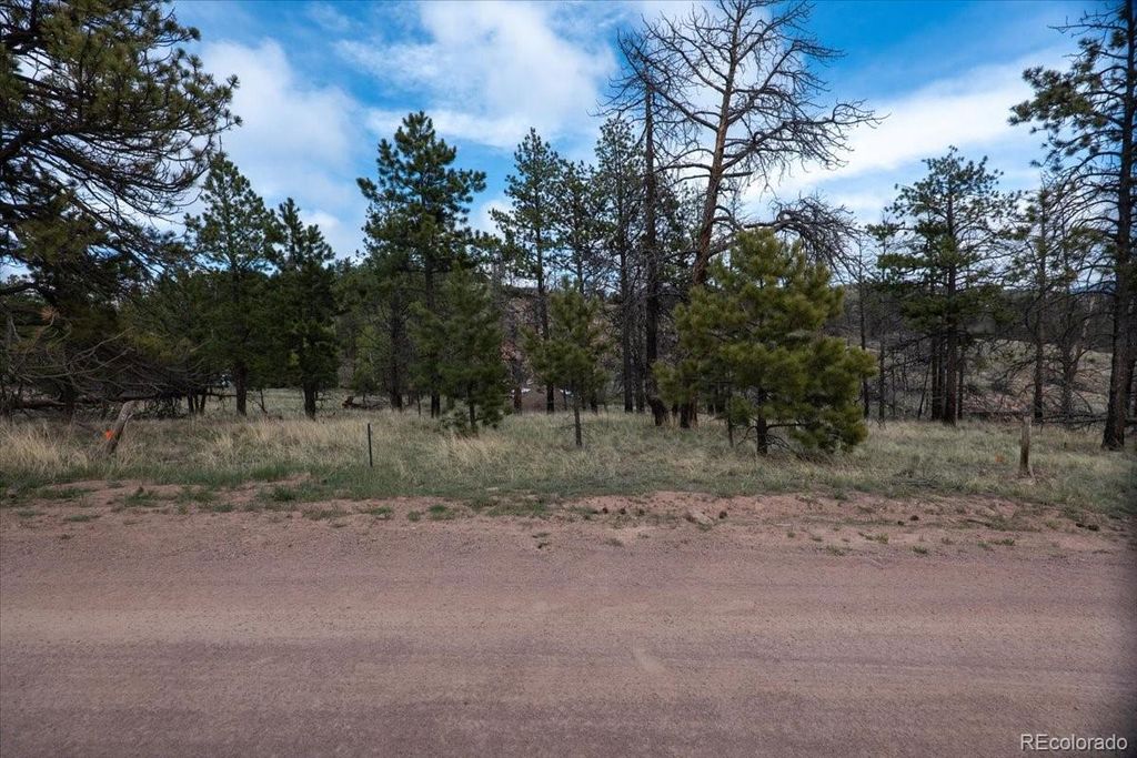 144 Chapparal Trail, Florissant, CO 80816