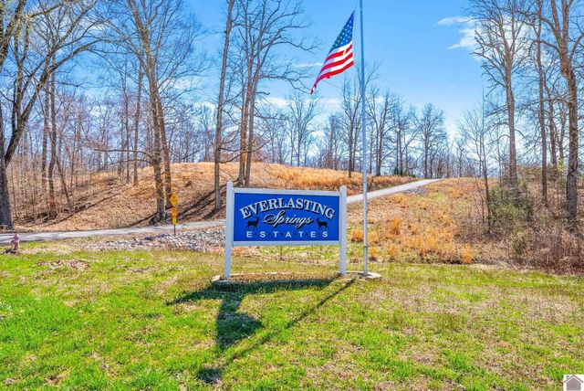 97 Partridge Point 7 8 9 10 18 19, Cadiz, KY 42211