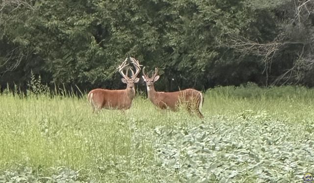 1982 Indiana Rd, Ottawa, KS 66067