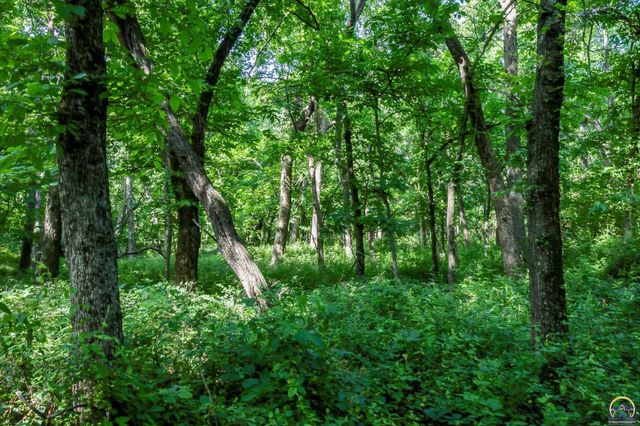 1982 Indiana Rd, Ottawa, KS 66067