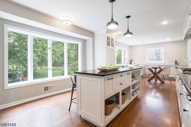 49 Van Houton Ave, Chatham Twp., NJ 07928