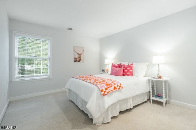 49 Van Houton Ave, Chatham Twp., NJ 07928