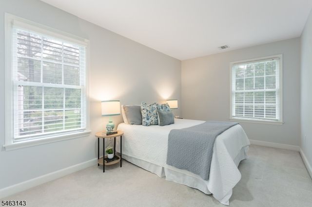 49 Van Houton Ave, Chatham Twp., NJ 07928