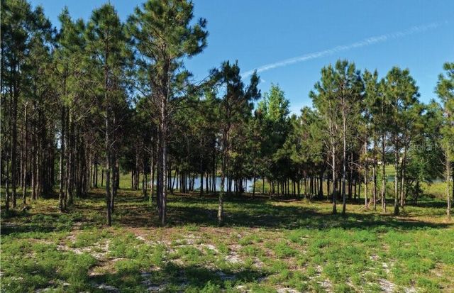 9717 MORTON JONES ROAD, Gotha, FL 34734