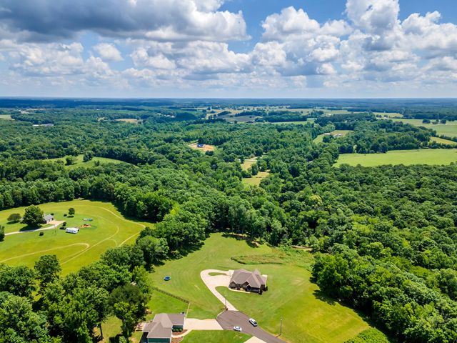 172 Tad Cir, Leoma, TN 38468