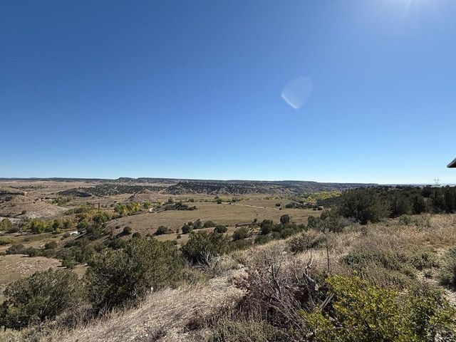 1574 4th St, Penrose, CO 81240